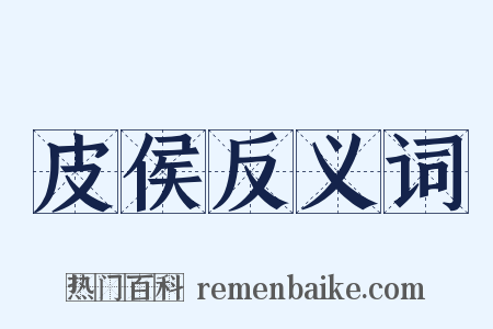 皮侯反义词是什么意思的图片